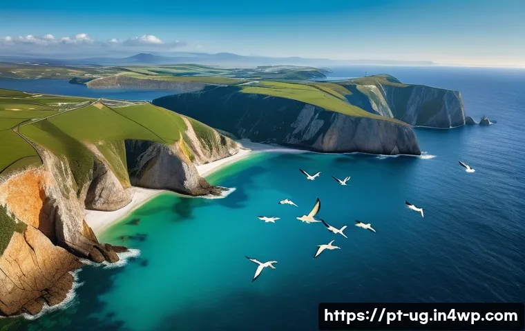 생물종 관찰 데이터의 시각화 기법 - **Prompt:** A dynamic and artistic aerial view of the rugged Portuguese coastline meeting the Atlant...